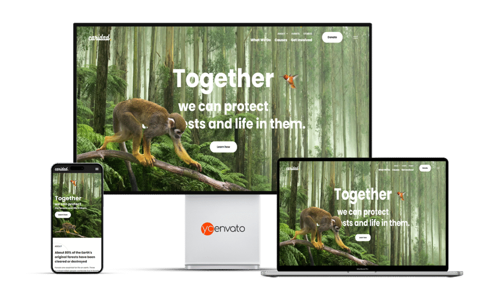 Caridad – Charity WordPress Theme - Görsel 4